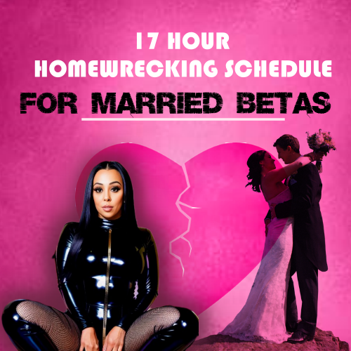17 HOUR HOMEWRECKING SCHEDULE FOR MARRIED BETAS